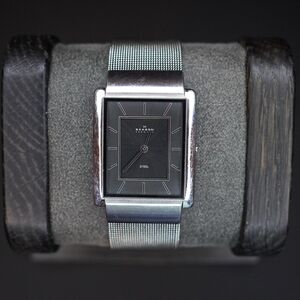 SKAGEN 224LSLN Men's Slim Watch with NEW BATTERY - Japanese Movement WORKS GREAT